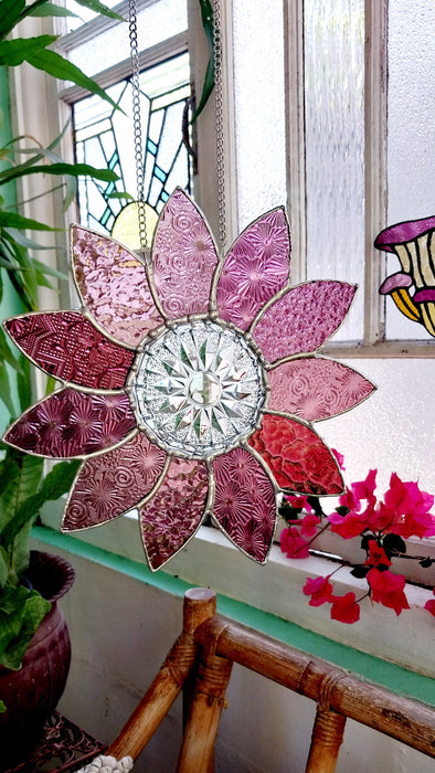 XL pink Daisy