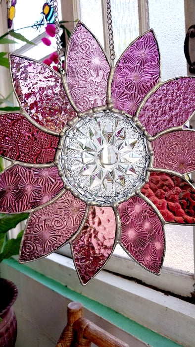 XL pink Daisy