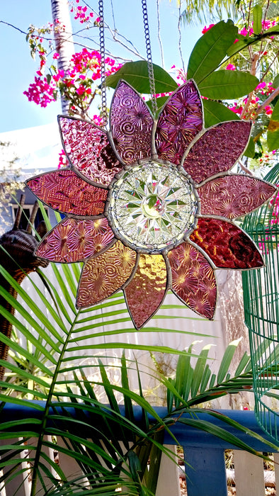 XL pink Daisy