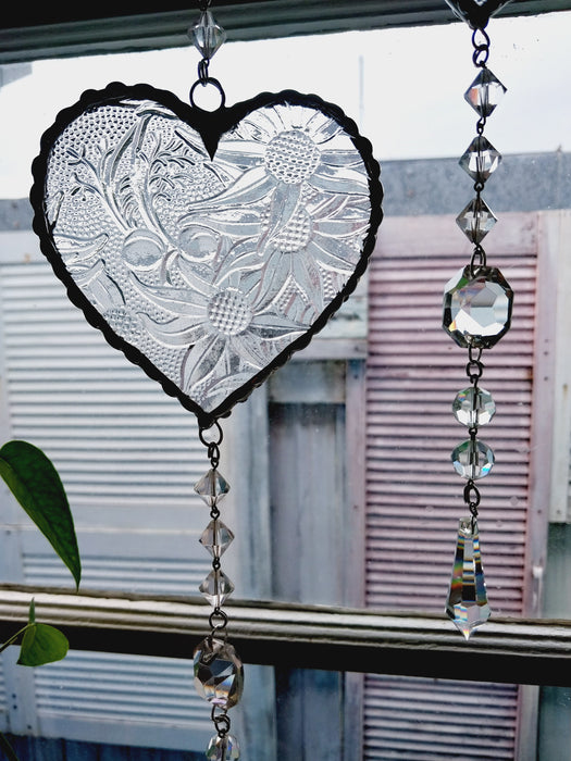 Heart of sparkling sunshine,               clear Flannel flower🤍