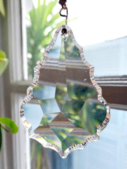 Heart of sparkling sunshine 💚           green Maple leaf