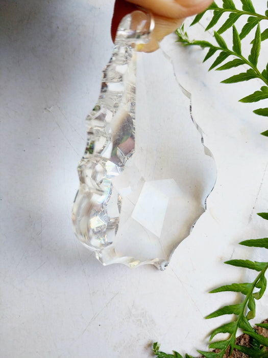 Heart of sparkling sunshine 💚           green Maple leaf
