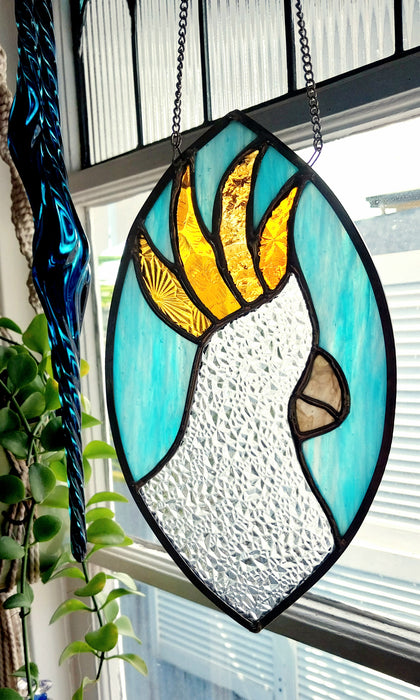 Sulphur crested Cockatoo