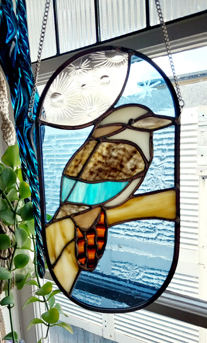 Blue winged Kookaburra