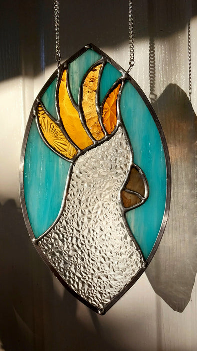 Sulphur crested Cockatoo