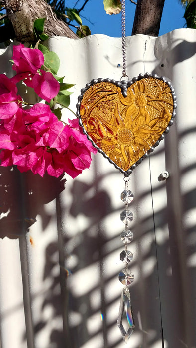 Available Saturday 13th of June 3pm AEST Heart of sparkling sunshine💛 Amber Flannel flower