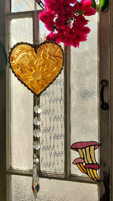 Available Saturday 13th of June 3pm AEST Heart of sparkling sunshine💛 Amber Flannel flower