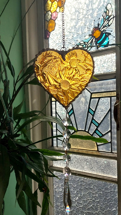 Available Saturday 13th of June 3pm AEST Heart of sparkling sunshine💛 Amber Flannel flower