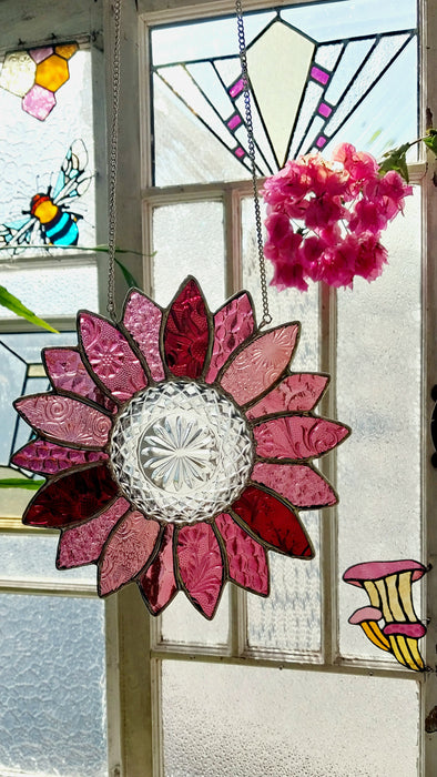Available Saturday 13th of June 3pm AEST Pink Daisy