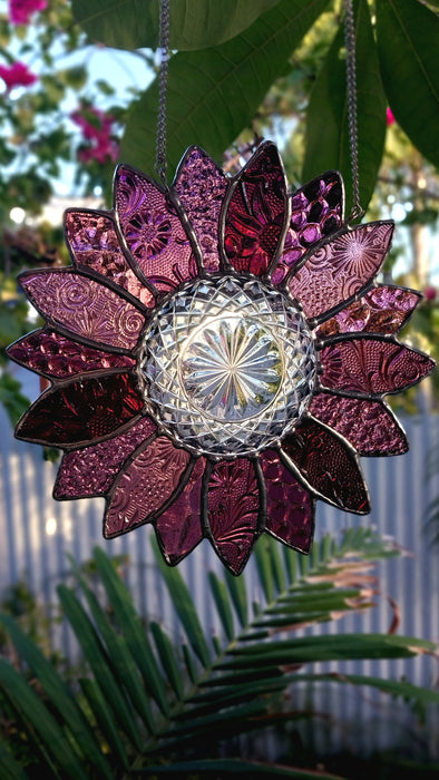 Available Saturday 13th of June 3pm AEST Pink Daisy