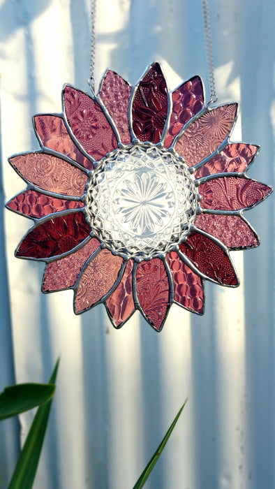 Available Saturday 13th of June 3pm AEST Pink Daisy