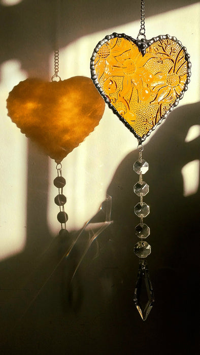 Available Saturday 13th of June 3pm AEST Heart of sparkling sunshine💛 Amber Flannel flower