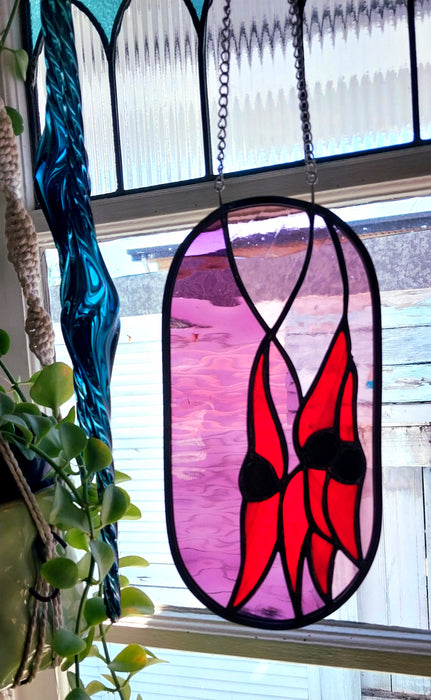 Available Saturday 25 July 3PM AEST Sturt's desert pea at twilight
