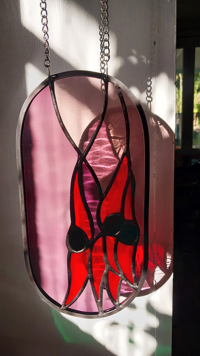 Available Saturday 25 July 3PM AEST Sturt's desert pea at twilight