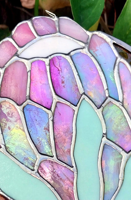 Available Saturday 25 July 3PM AEST Sun Protea