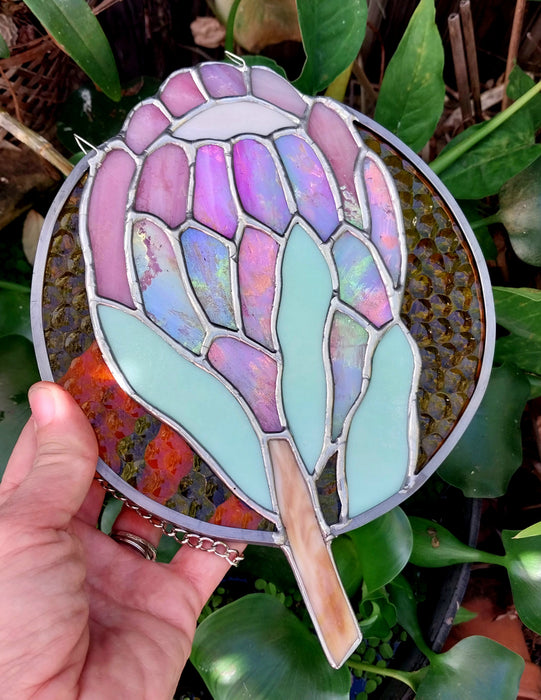 Available Saturday 25 July 3PM AEST Sun Protea