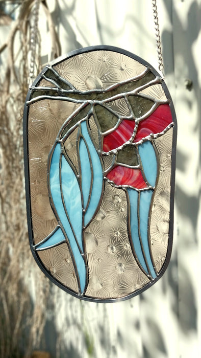 Available Saturday 25 July 3PM AEST Gorgeous Gum, red flowering gum.