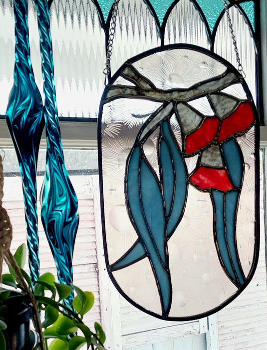 Available Saturday 25 July 3PM AEST Gorgeous Gum, red flowering gum.