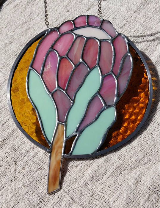Available Saturday 25 July 3PM AEST Sun Protea