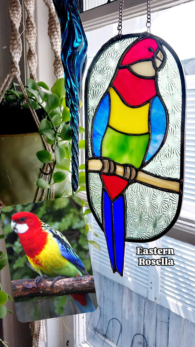 Eastern Rosella