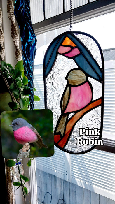 Pink robin